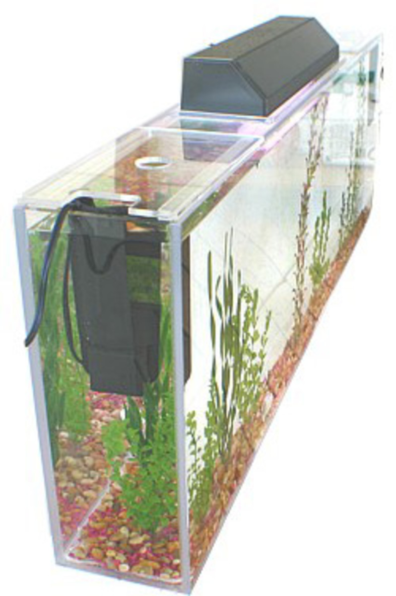 A Guide to Wall Mounted & InWall Fish Tanks HubPages