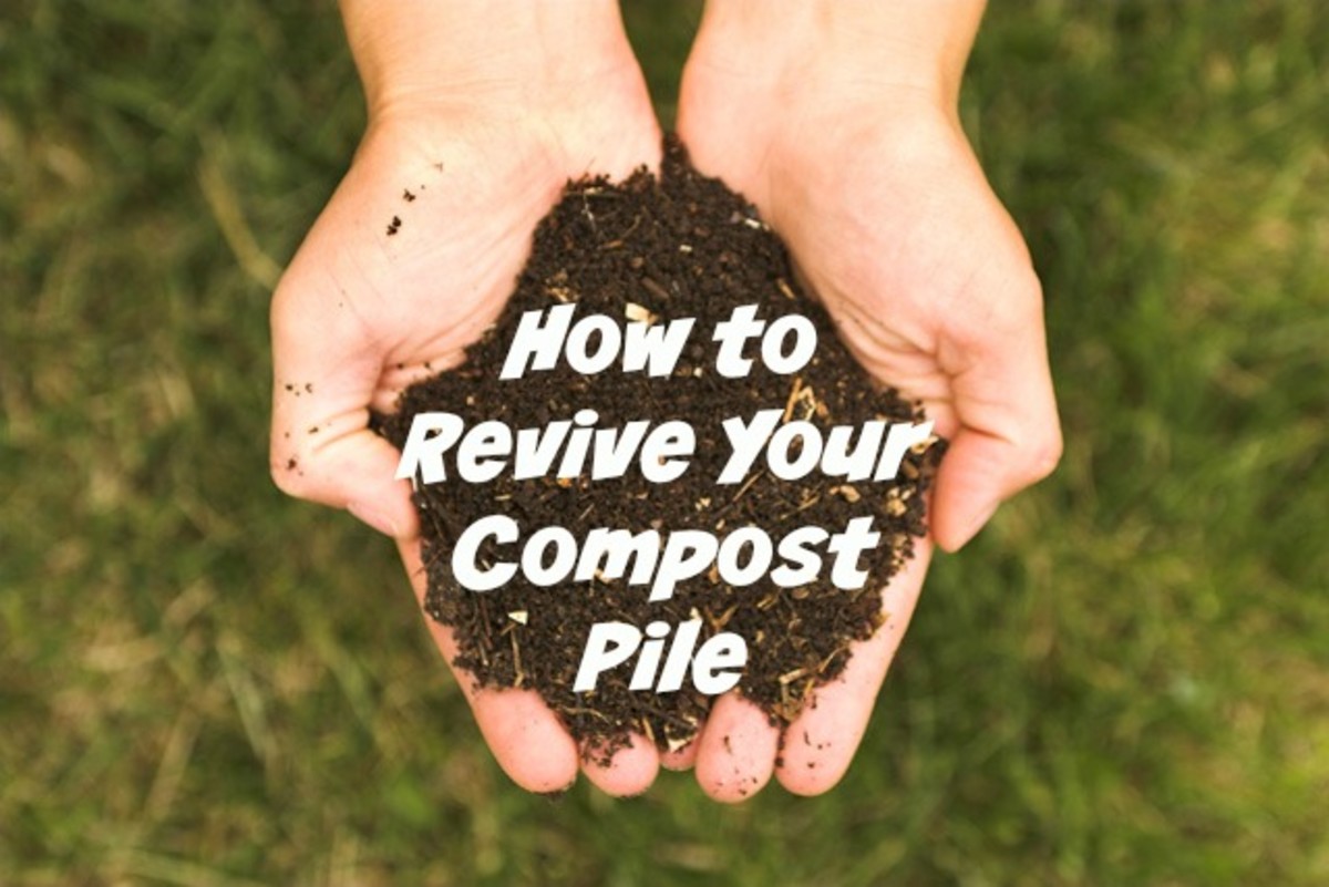 How to Revive Your Compost Pile hubpages