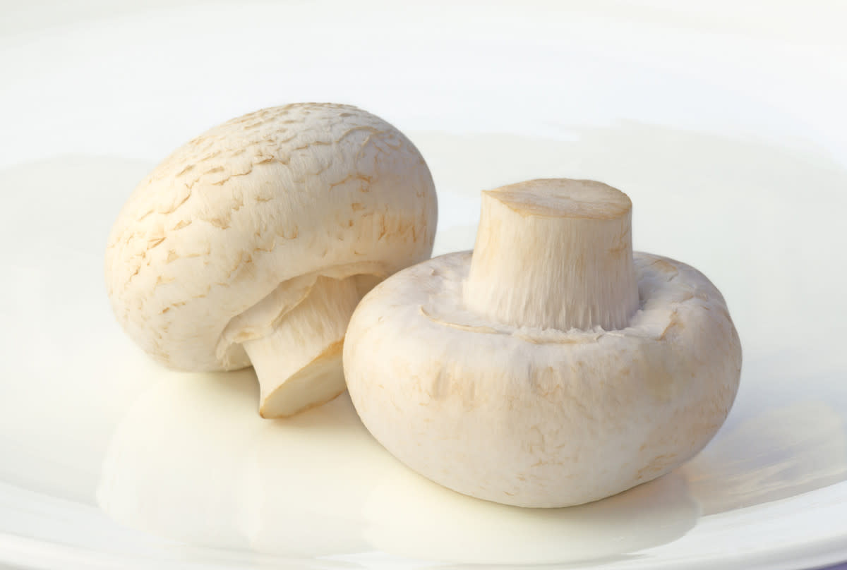 Growing Mushrooms for Profit and Pleasure HubPages