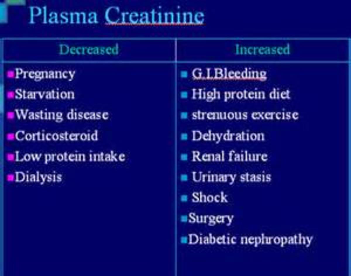 High Levels of Creatinine in your blood HubPages