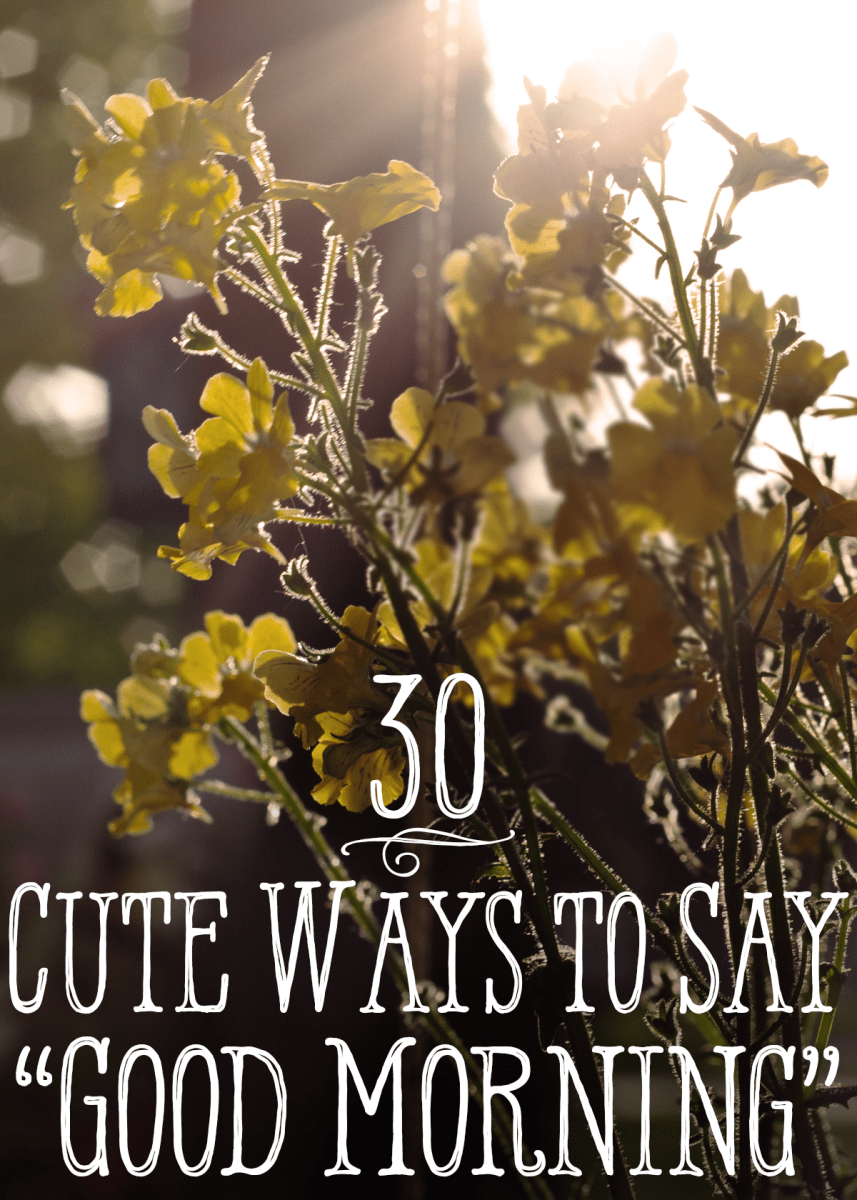 30 Cute Ways to Say Good Morning PairedLife
