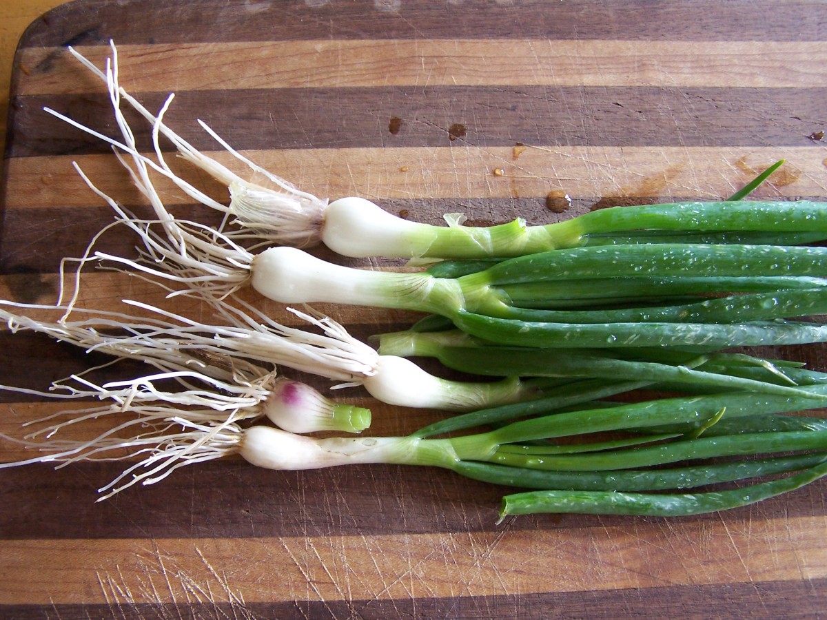 Growing and Using Egyptian Onions Dengarden