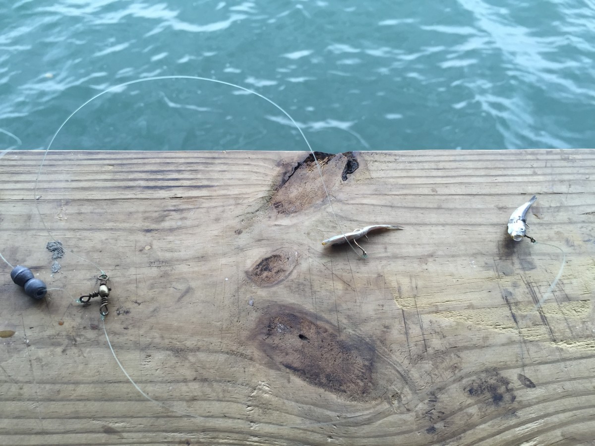 How to Fish and Catch Fish off of Gulf Coast Florida Piers HubPages