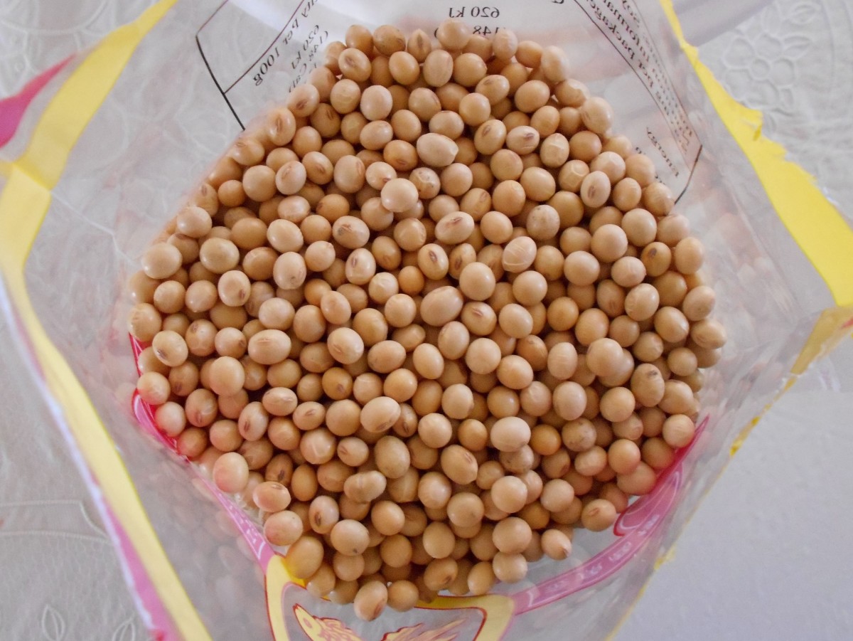 How To Make Your Own Tempeh Starter and Making Tempeh With Other Grains