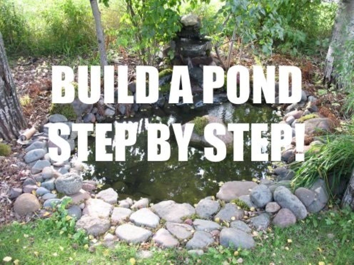 How to Build a Reflecting Pond Dengarden