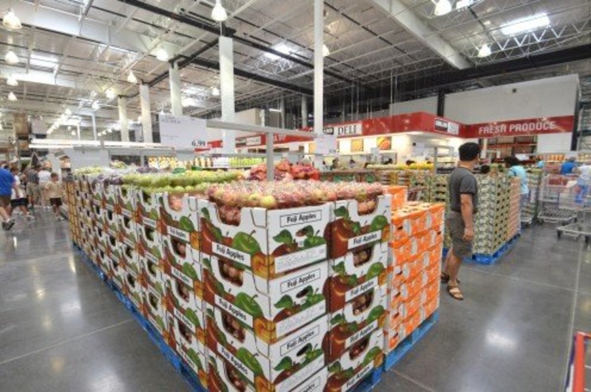 Costco Mexican Insurance Online Financial Report