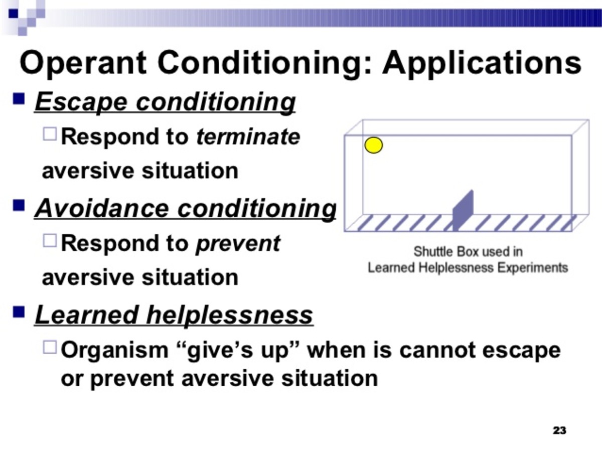 The Impact of Learned Helplessness on Grades in the College Student
