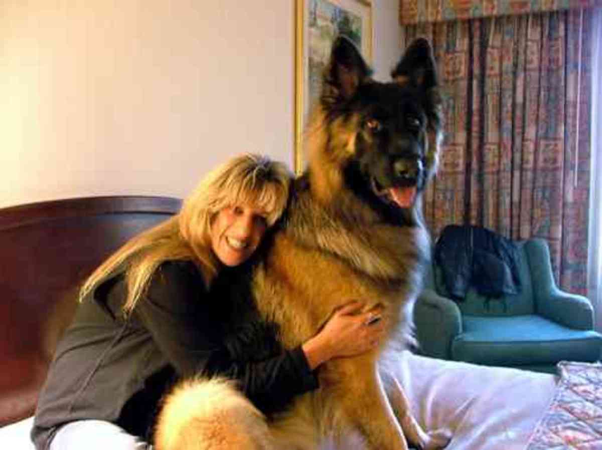 The 10 Most Respected Breeders Who Founded New Dog Breeds