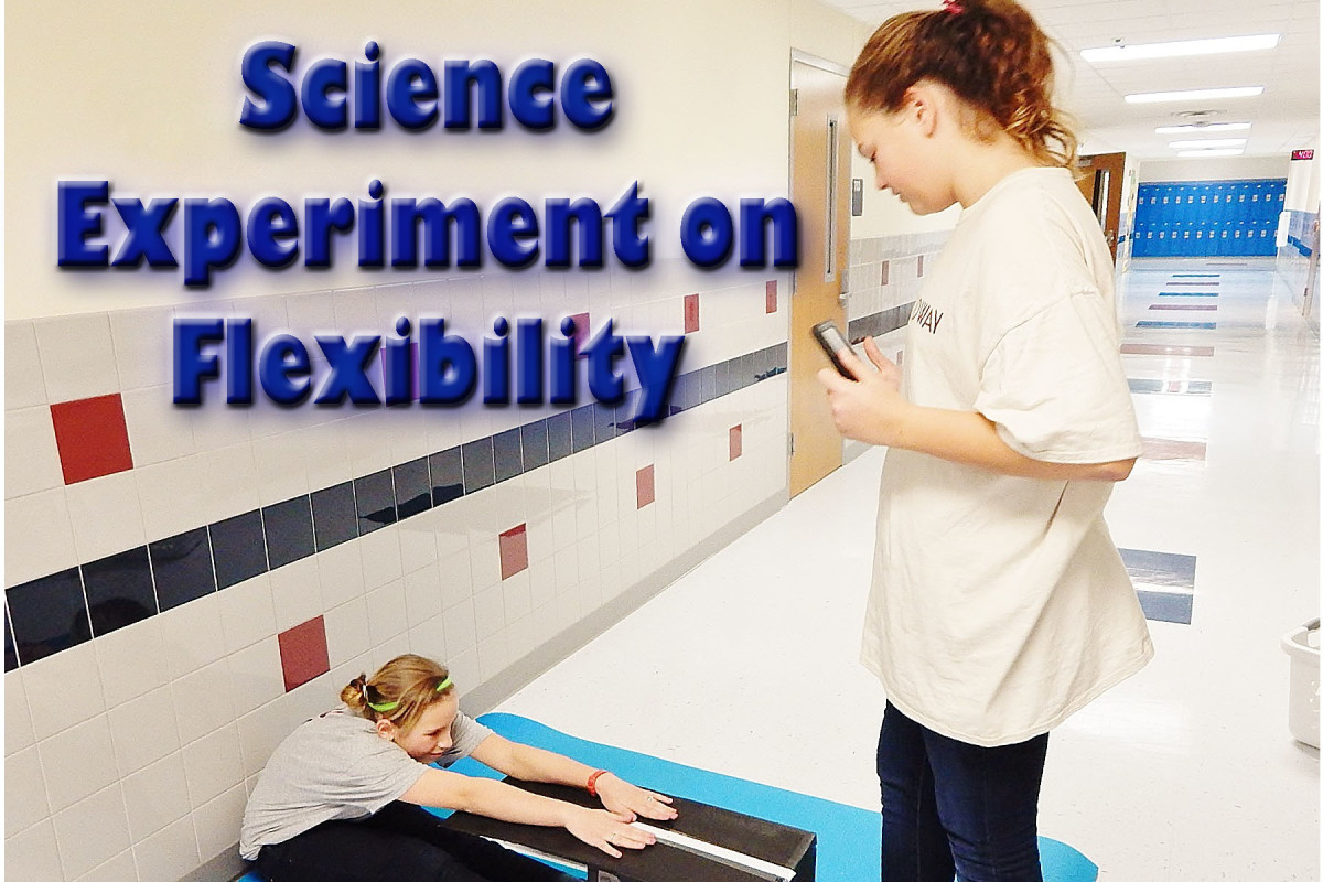 Easy Girls Junior High Science Fair Project WeHaveKids