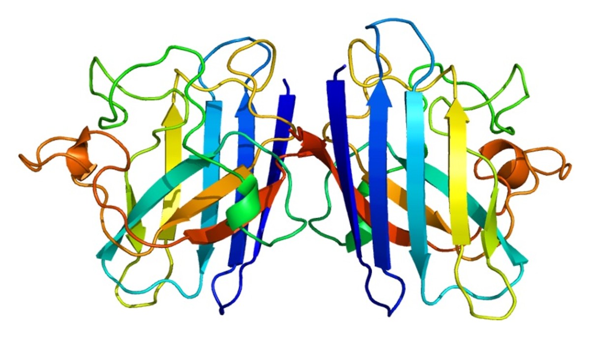 ALS Gene Mutation, Protein Misfolding, and a Possible Treatment HealDove