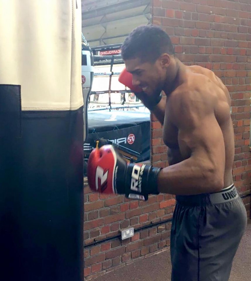 Which Is the Best Boxing Workout? CalorieBee