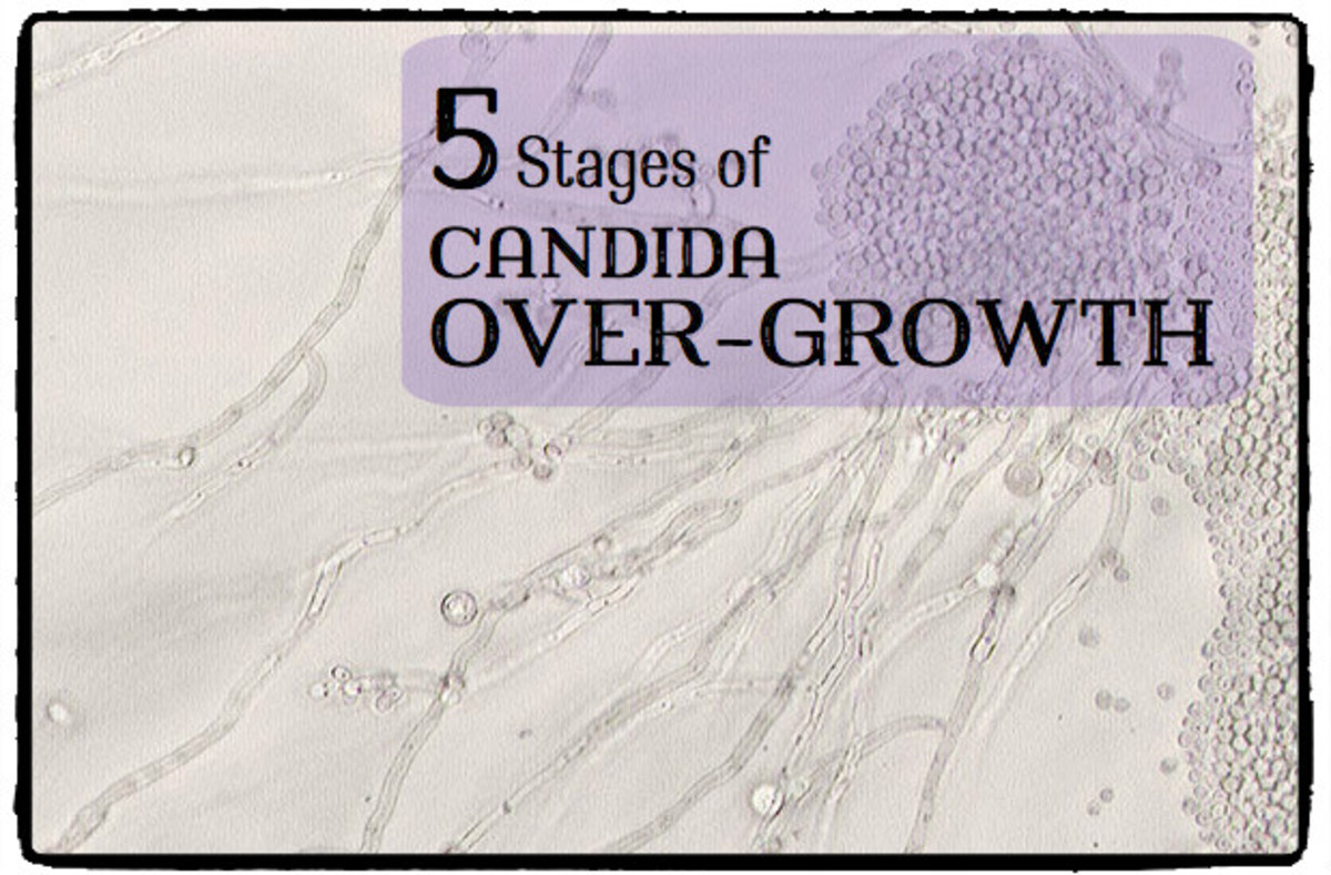 The 5 Stages of Candida Overgrowth HubPages