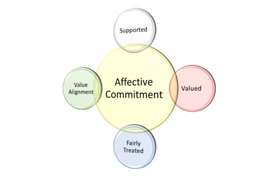 Recruiting and Assessing Employees Competence, Contribution