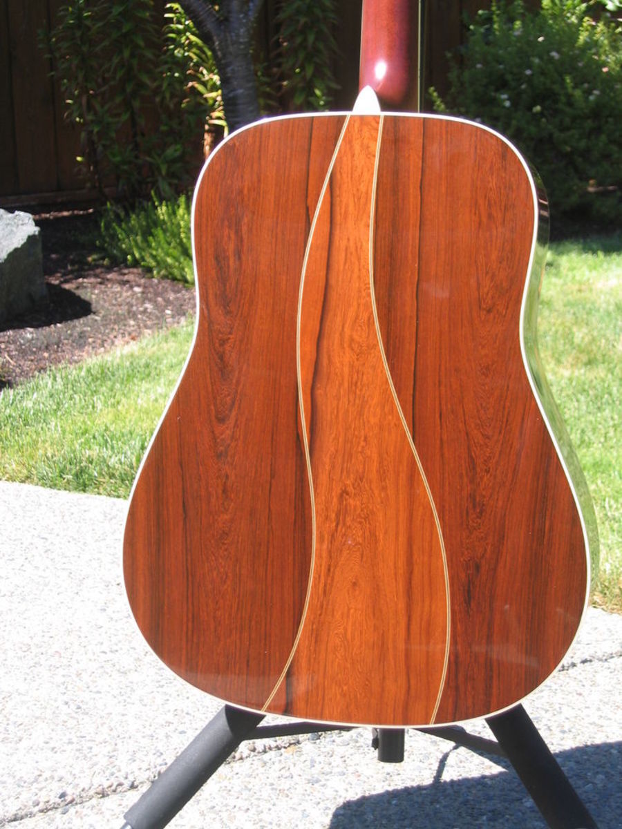 5 Best Madagascar Rosewood Dreadnought Guitars Spinditty