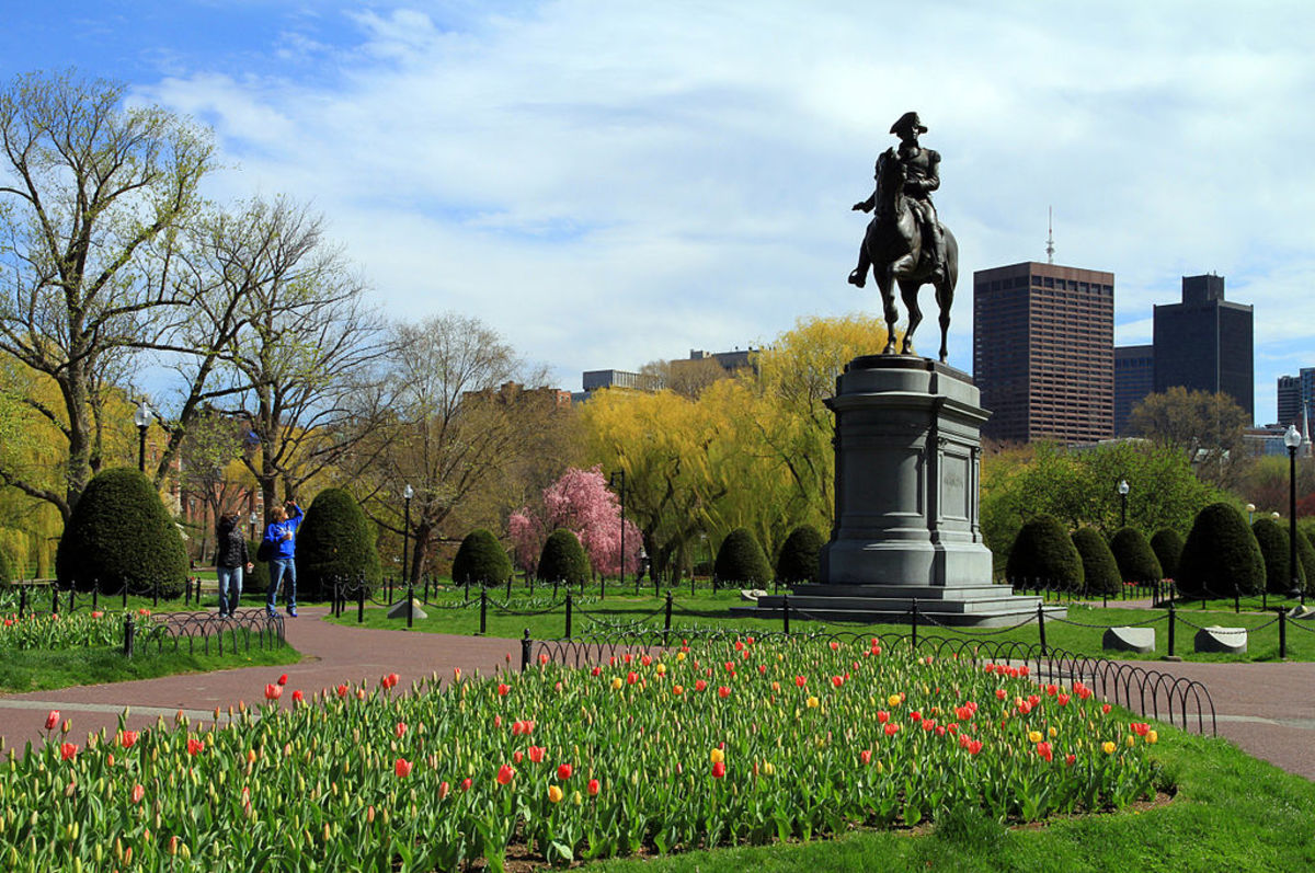 21 Free Things to Do in Boston WanderWisdom