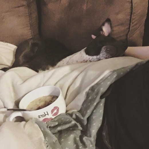 Ten Reasons Why You Shouldn't Get a Puppy PetHelpful