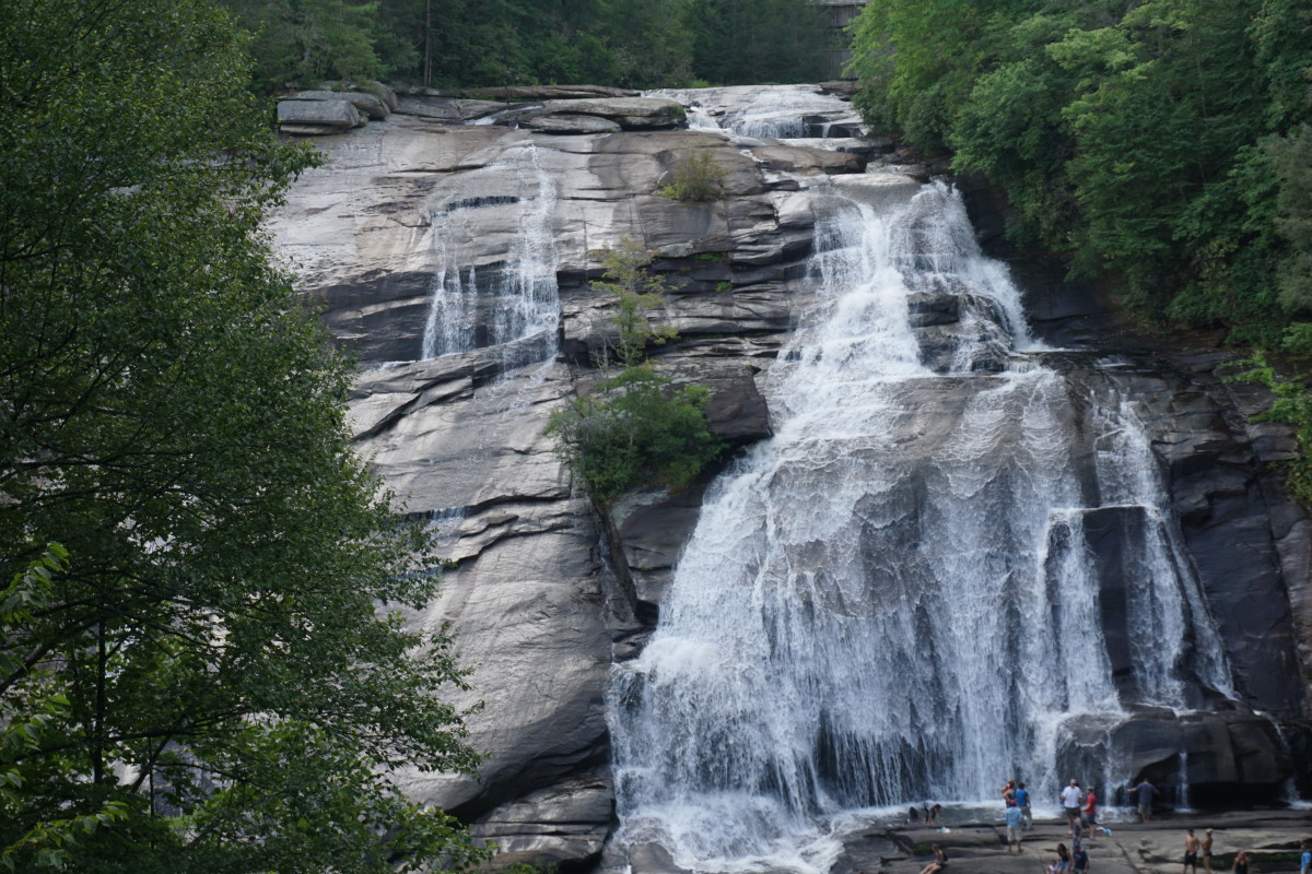 Dupont State Forest Cedar Mountain, NC