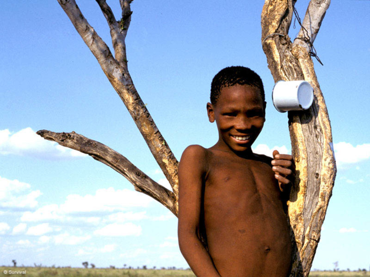 Extermination of the Bushmen HubPages