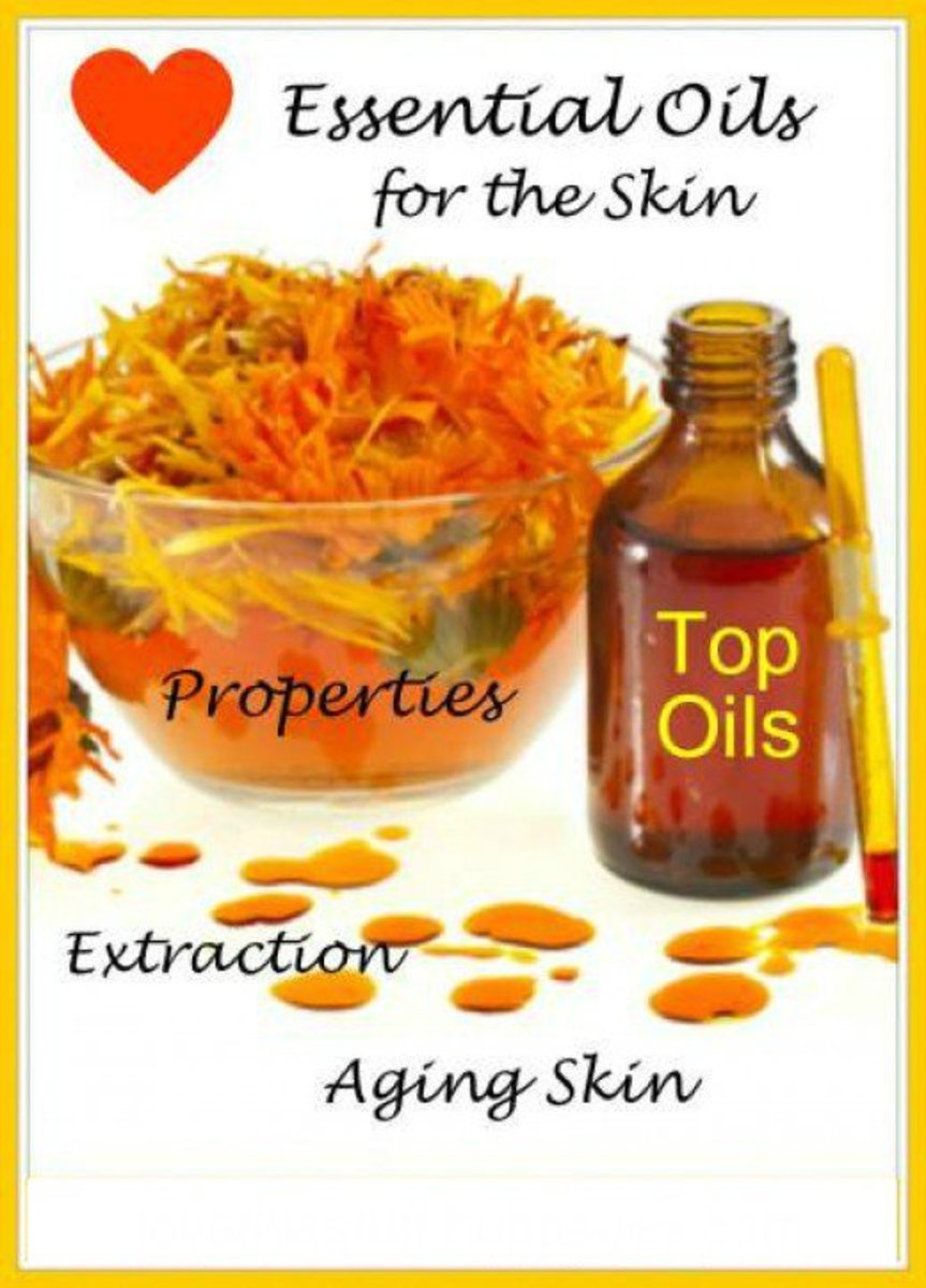 Best Essential Oils for the Skin and Wrinkles hubpages