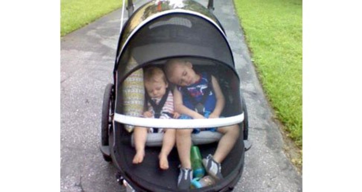 The 5 Best Baby Bike Trailers WeHaveKids