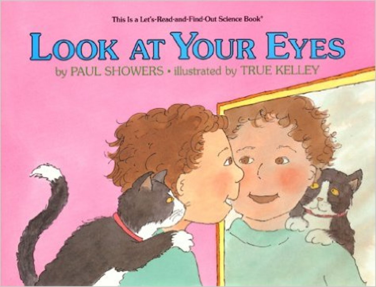 Eyes and Seeing Lesson HubPages