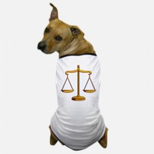 Dog Astrology PetHelpful