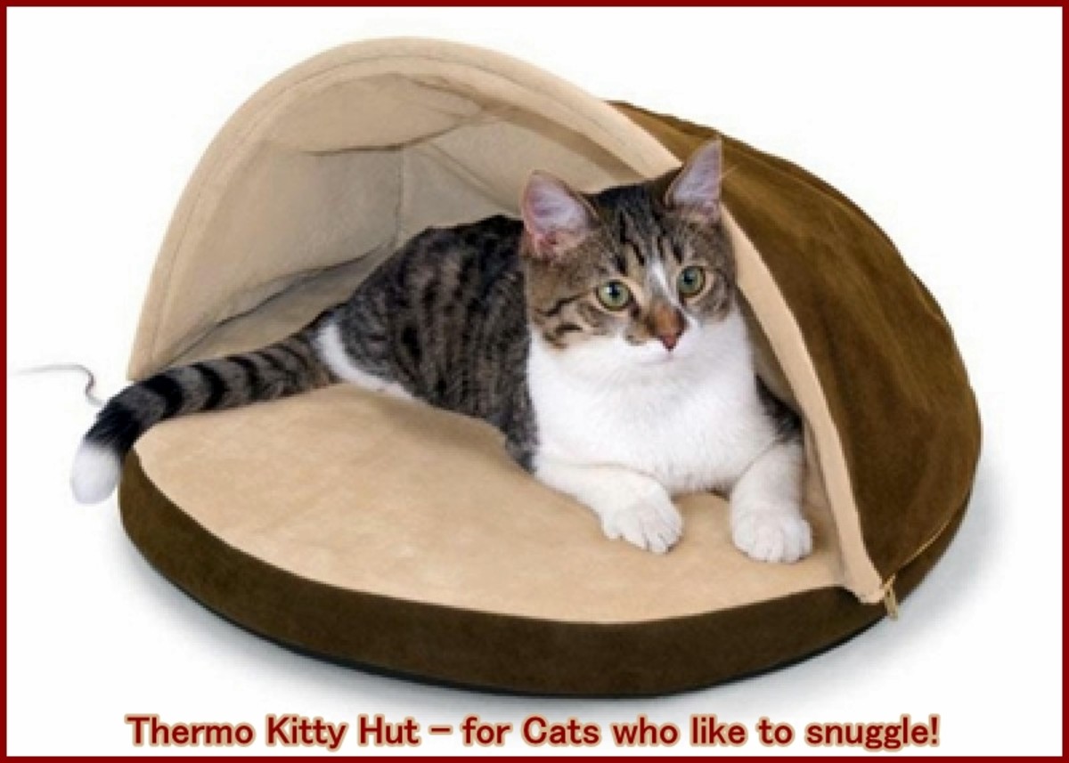 Heated Cat Beds (Indoor, Outdoor, and Alternatives