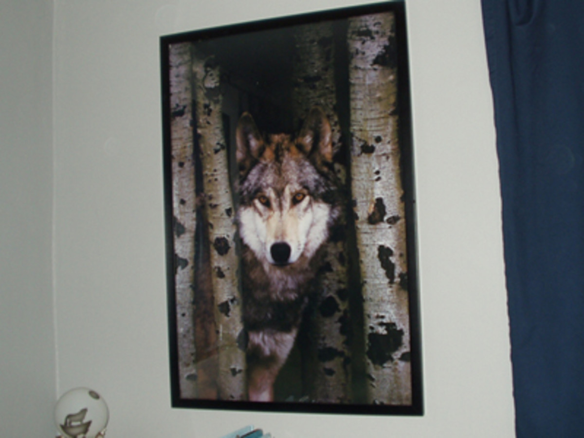 How to Decorate a WolfThemed Bedroom Dengarden