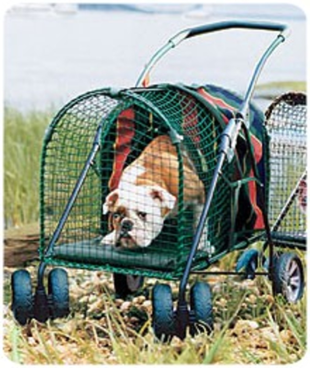 Pet Strollers are a Good Investment HubPages