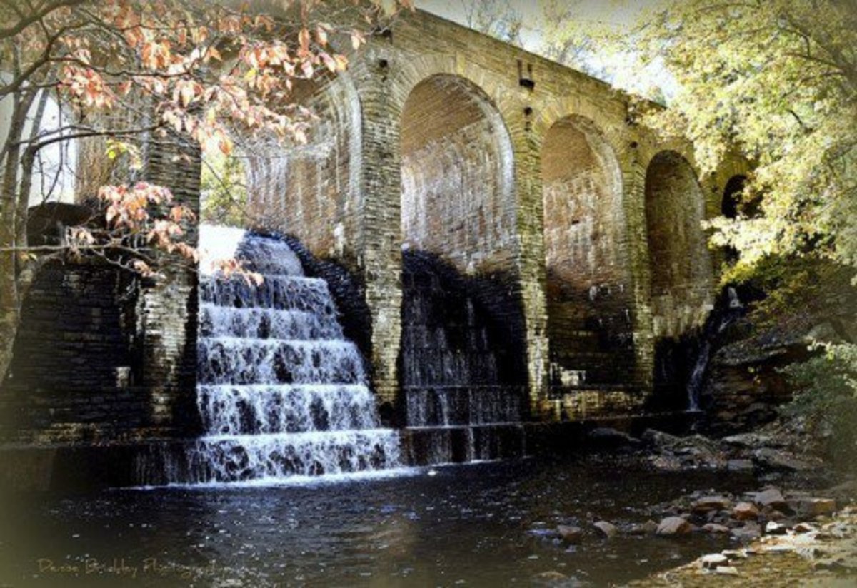 10 of the Best State Parks in Tennessee Everyone Should Visit