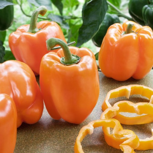 Bell Peppers Differences Between Green, Yellow, Orange, and Red