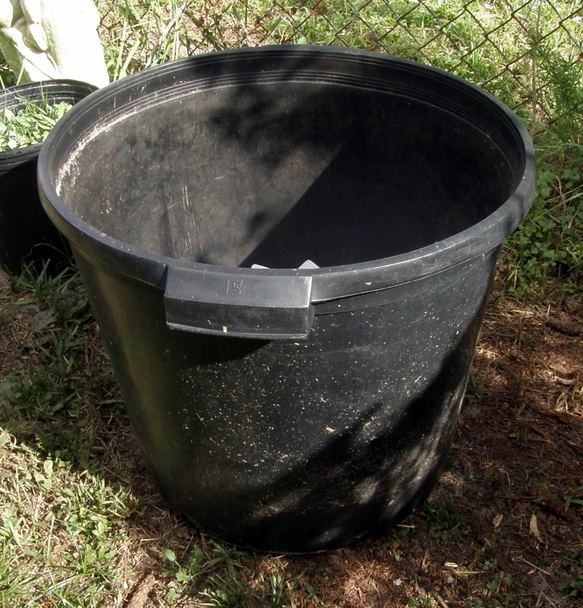 How to Grow Irish Potatoes in a Container Dengarden