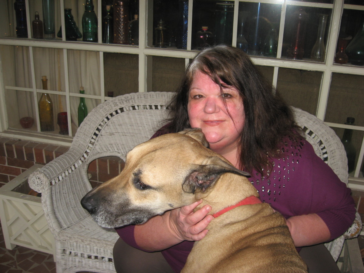 Best Dogs for Seniors Large and Giant Breeds HubPages