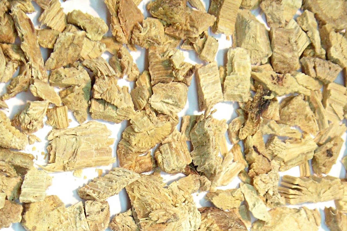 Foods to Avoid With H. Pylori Infection HealDove