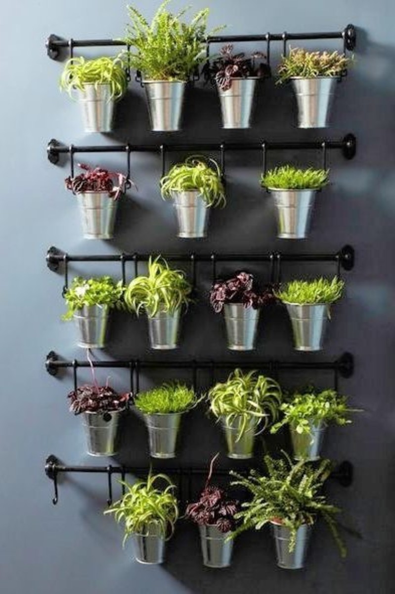How to Regrow Herbs, Vegetables, and Fruits From Scraps at Home