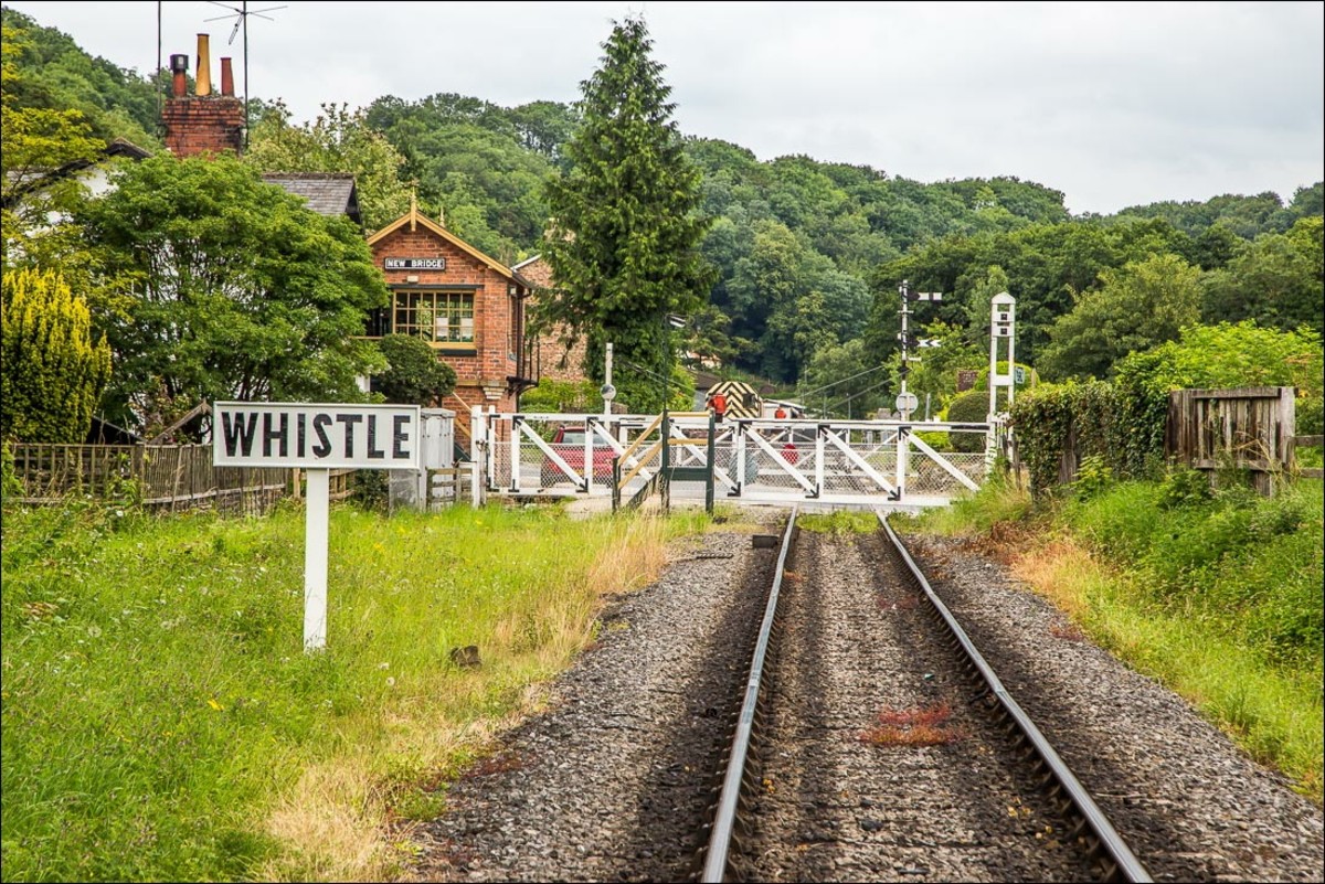 Travel North 50 Pickering Round Trip, a Look Back Into the Town's