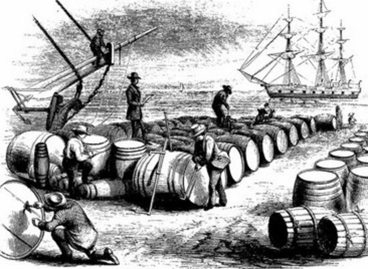 Rum Facts and Trivia HubPages
