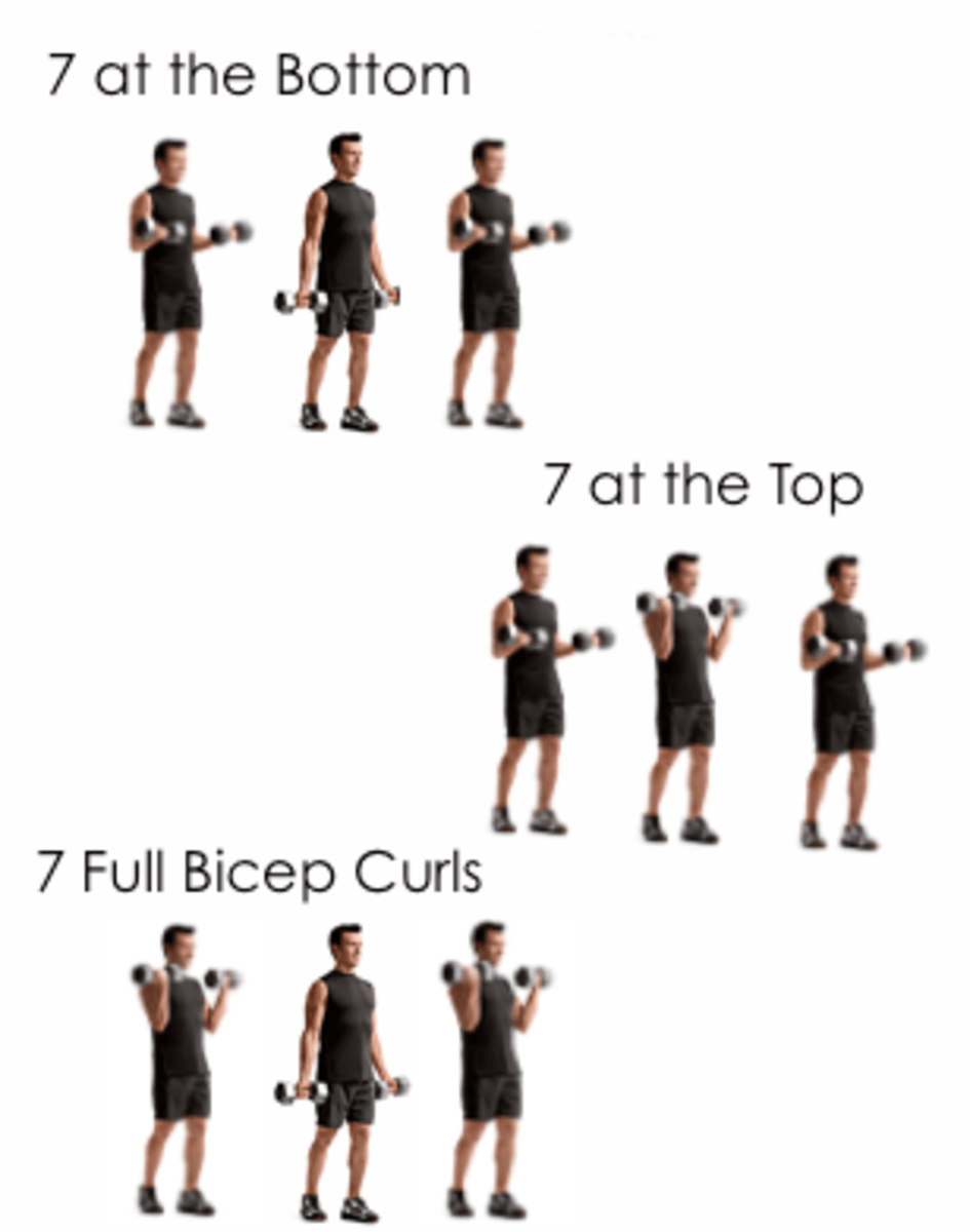 Best 5 Exercises to Build Big Biceps CalorieBee
