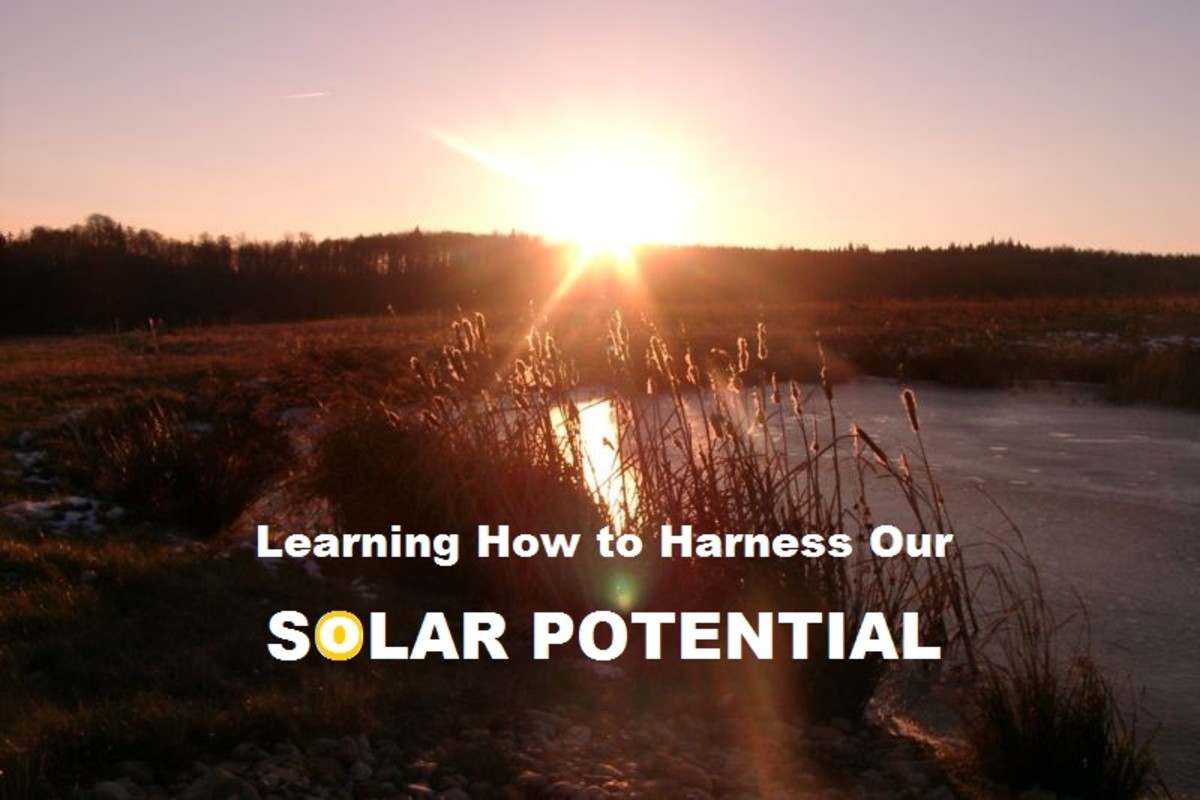 Learning How to Harness Our Solar Potential TurboFuture