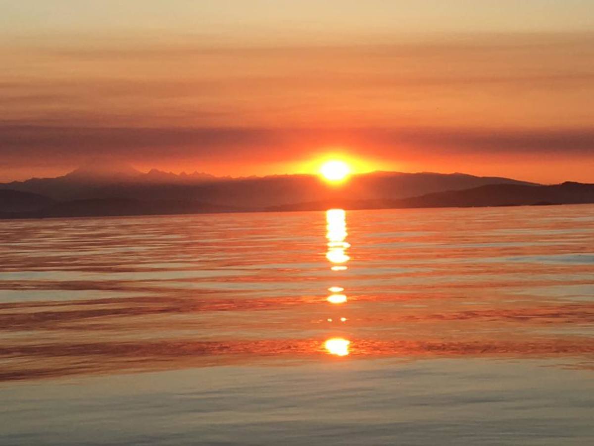 The Solution to Your Winter Blues—Natural Spectrum Lights RemedyGrove