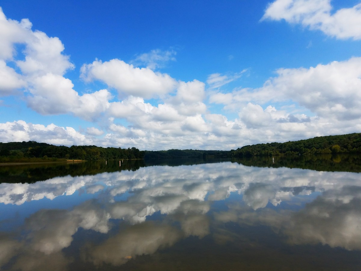 A Visitor's Guide to Salt Fork State Park in Southeast Ohio WanderWisdom