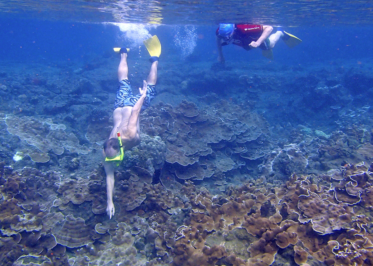 Hawaii Snorkeling Anyone? A Guide to Your Safe and Fun Underwater