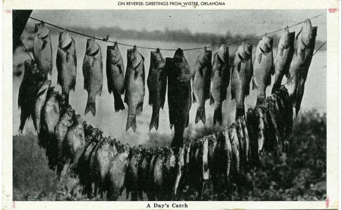 Lake Wister History and Attractions for Lake Wister State Park