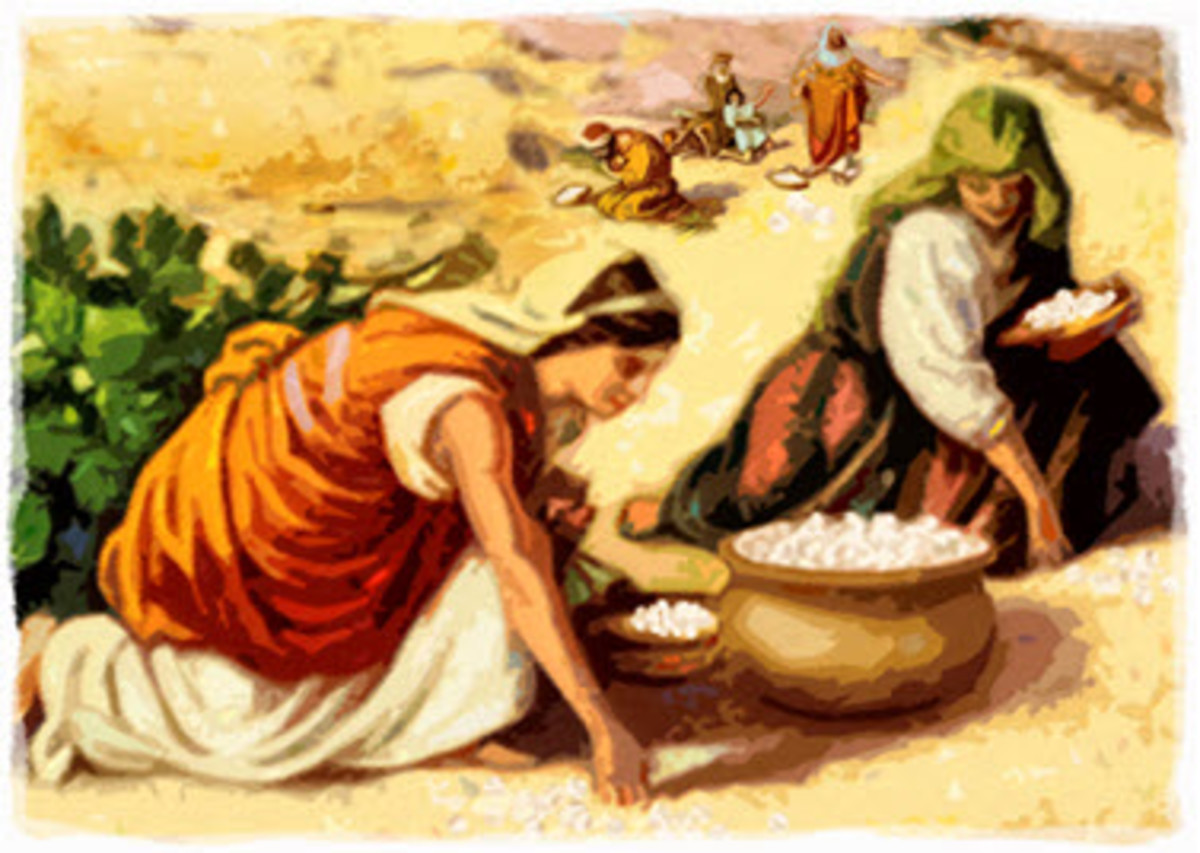 Why the Manna Ceased When the Israelites Entered the