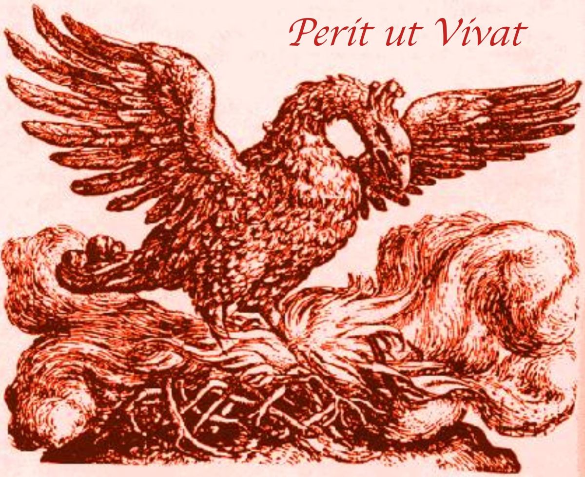 The Phoenix A Mythological Bird HubPages