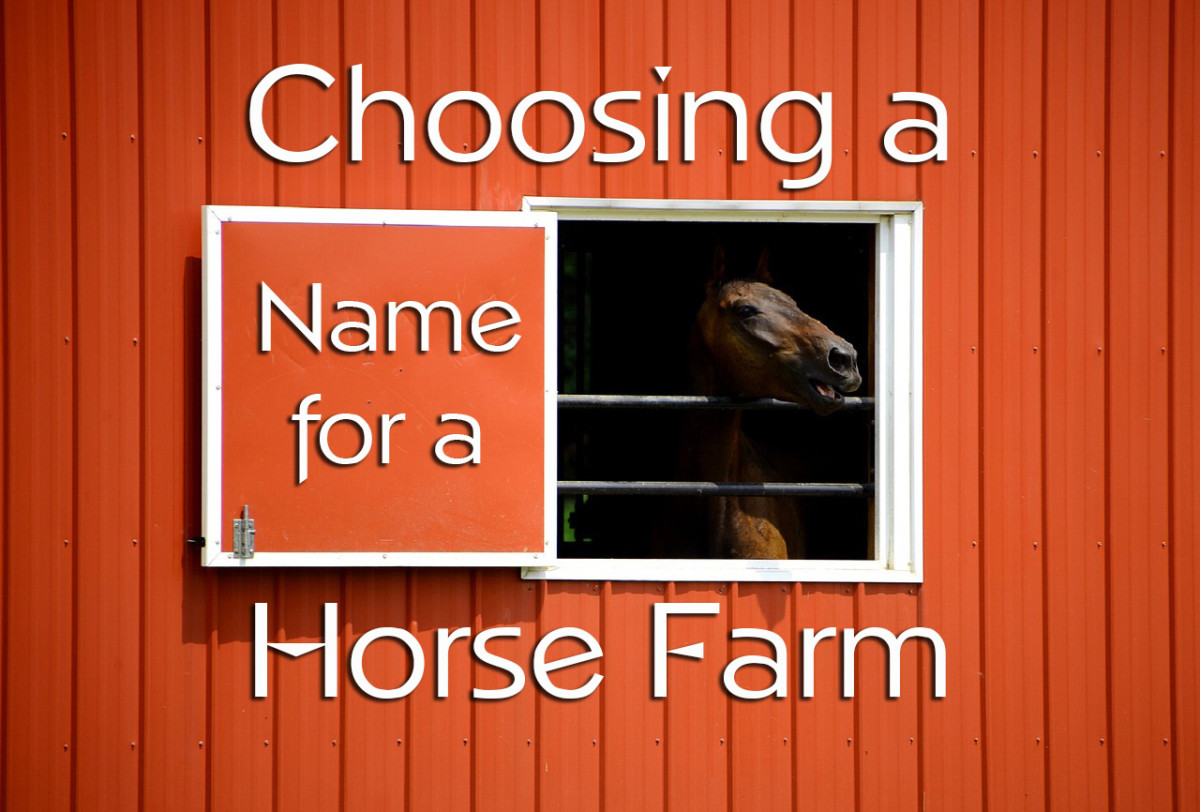 Catchy Farm Names Ideas See More...