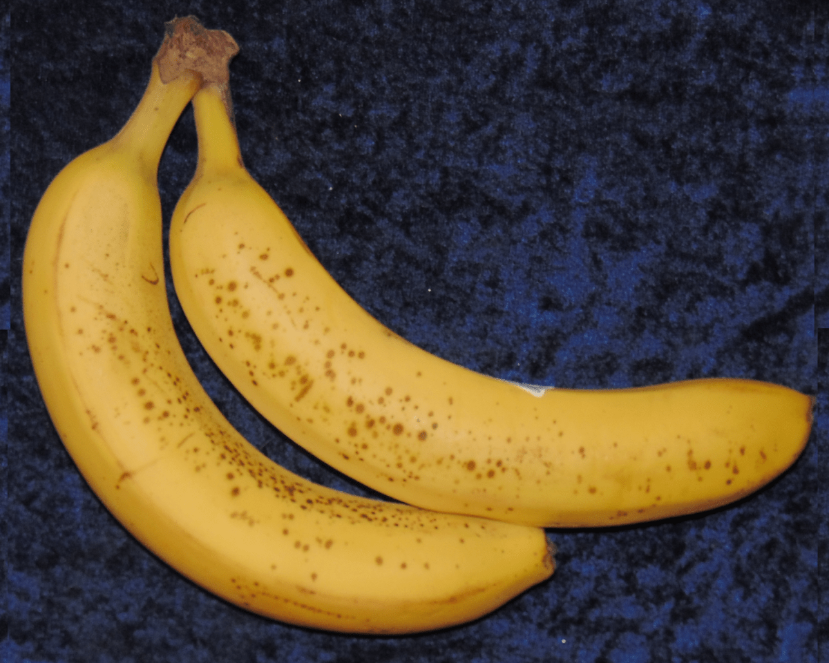 Learn How to Mold Casting at Home With This StepByStep Tutorial