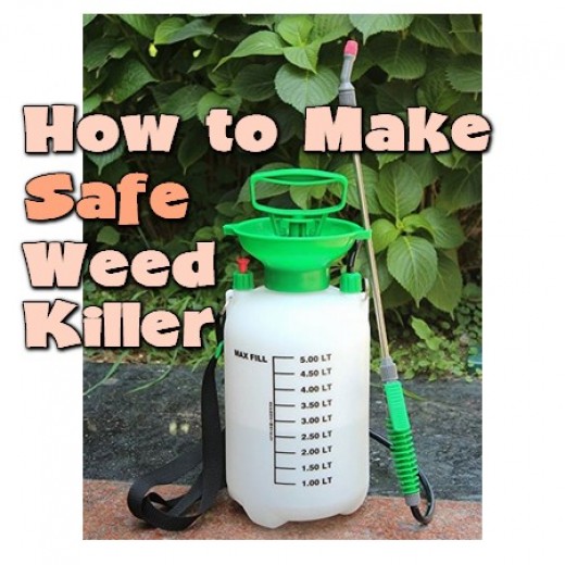 How To Make Safe Weed Killer HubPages