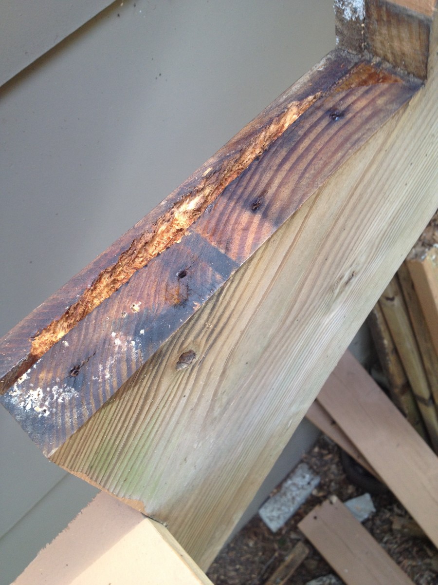 How to Repair Wood Rot on Your Outdoor Deck A General Overview HubPages