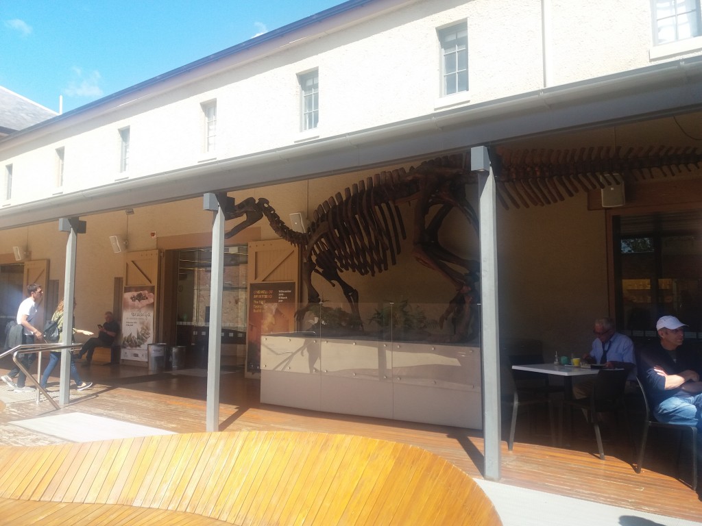 Visiting the Tasmanian Museum and Art Gallery in Hobart, Australia